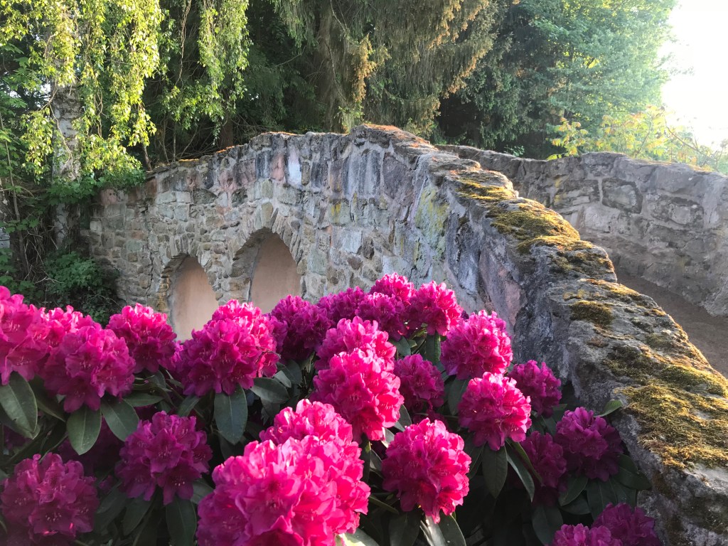 Steinbrücke im Schlosspark
