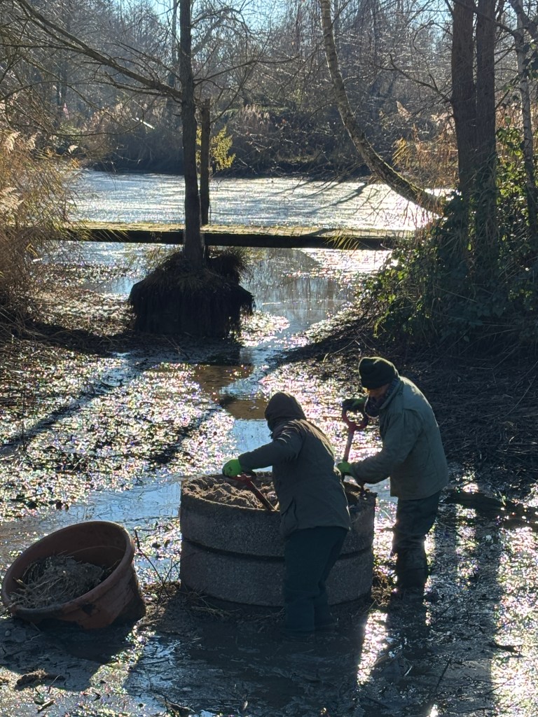 Was macht der grüne Baron im November?